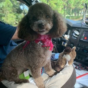 Meet your Posher, Kimberly